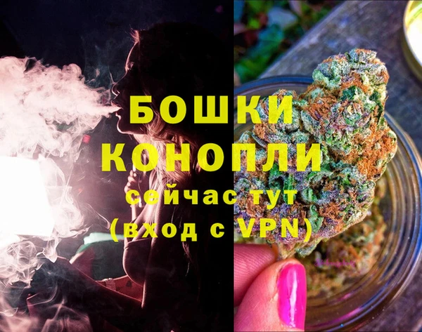 твердый Верхний Тагил