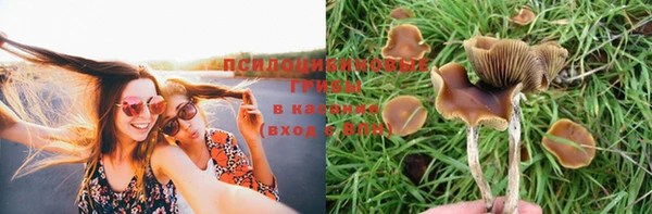 твердый Верхний Тагил