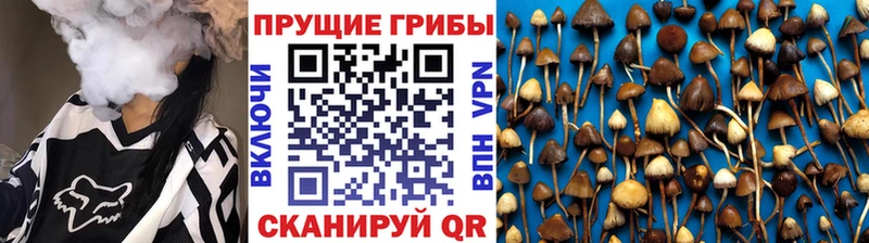 Псилоцибиновые грибы мухоморы  Троицк 